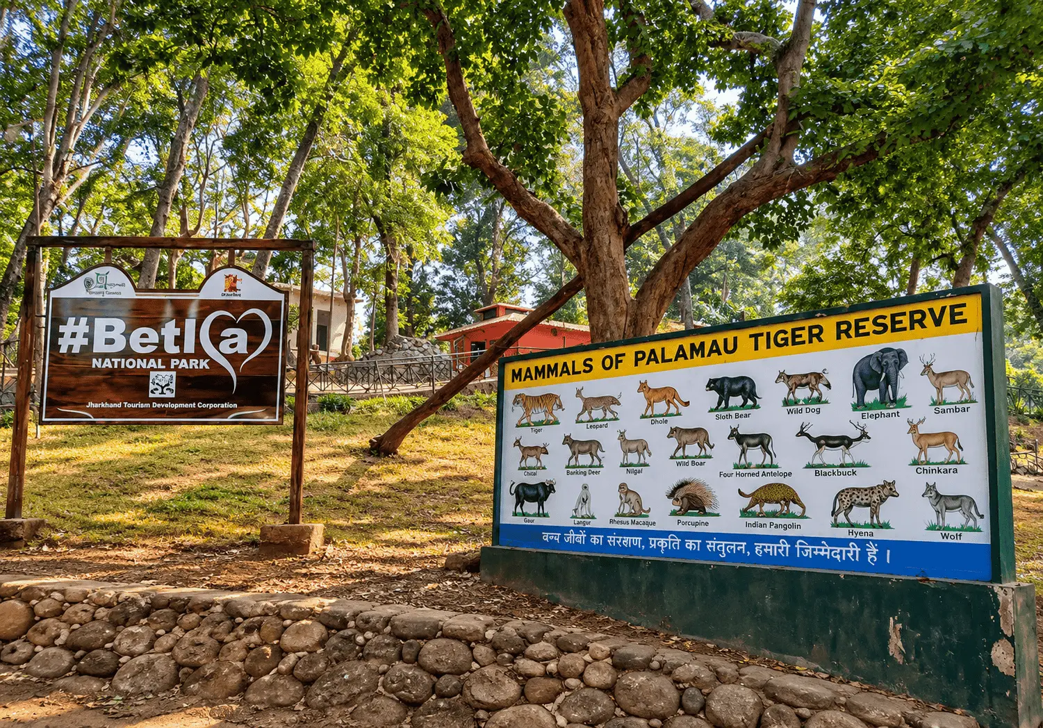 Betla National Park